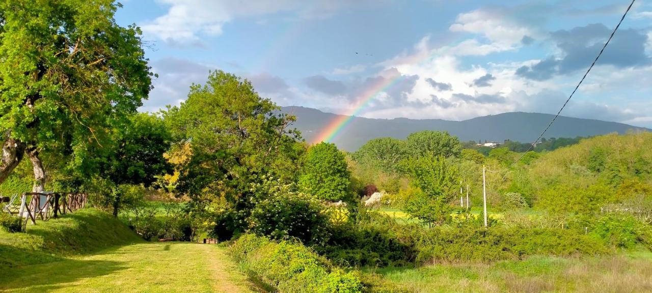 Agriturismo Lo Zolfino Penna 外观 照片
