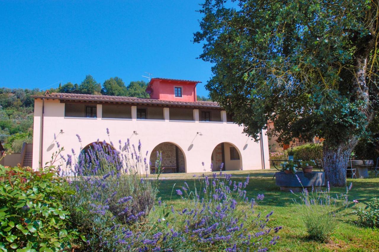 Agriturismo Lo Zolfino Penna 外观 照片